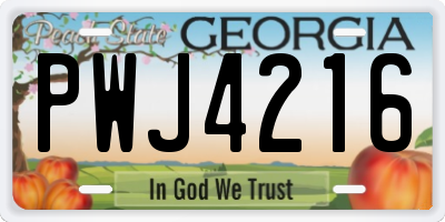 GA license plate PWJ4216