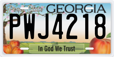 GA license plate PWJ4218