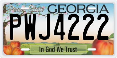GA license plate PWJ4222