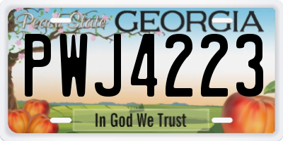 GA license plate PWJ4223
