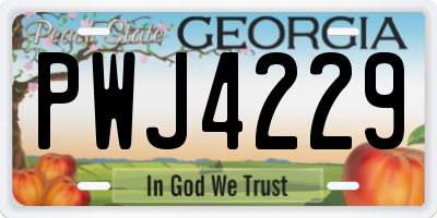 GA license plate PWJ4229