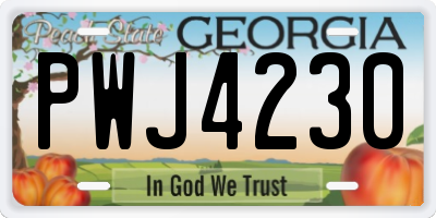 GA license plate PWJ4230