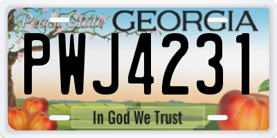 GA license plate PWJ4231