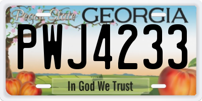GA license plate PWJ4233
