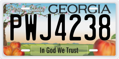 GA license plate PWJ4238