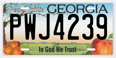 GA license plate PWJ4239