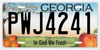 GA license plate PWJ4241