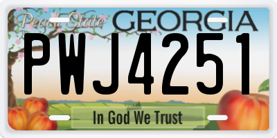 GA license plate PWJ4251