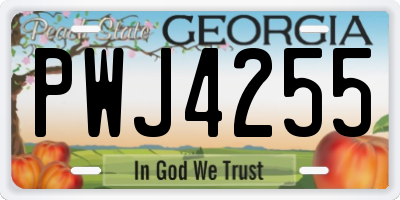 GA license plate PWJ4255