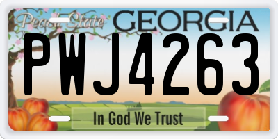 GA license plate PWJ4263
