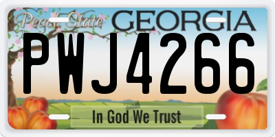 GA license plate PWJ4266