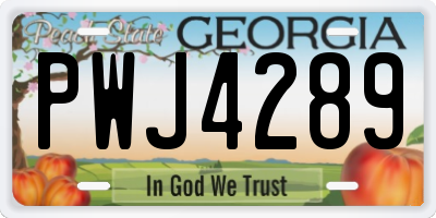 GA license plate PWJ4289