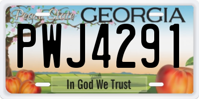 GA license plate PWJ4291