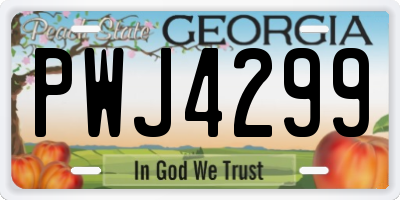 GA license plate PWJ4299