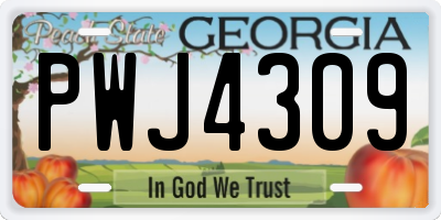 GA license plate PWJ4309