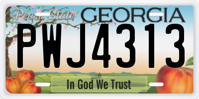 GA license plate PWJ4313
