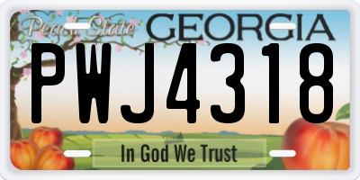 GA license plate PWJ4318