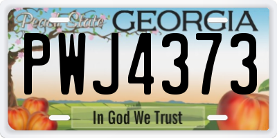 GA license plate PWJ4373