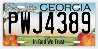 GA license plate PWJ4389