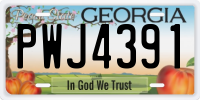 GA license plate PWJ4391