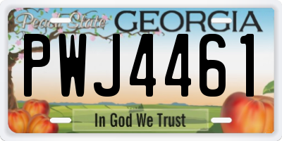 GA license plate PWJ4461
