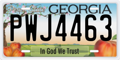 GA license plate PWJ4463