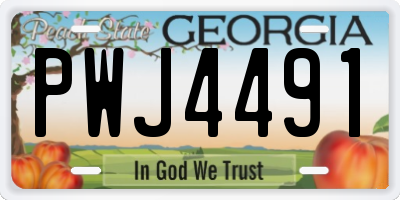 GA license plate PWJ4491