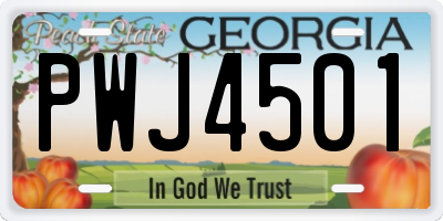 GA license plate PWJ4501