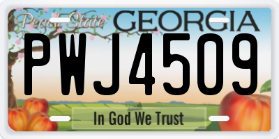 GA license plate PWJ4509