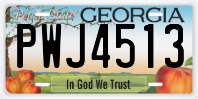 GA license plate PWJ4513