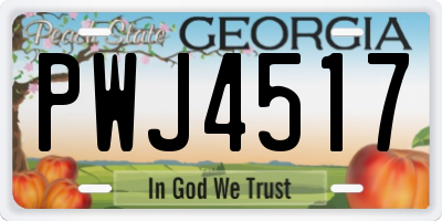 GA license plate PWJ4517