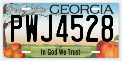 GA license plate PWJ4528