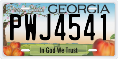 GA license plate PWJ4541