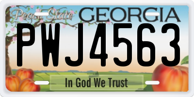 GA license plate PWJ4563