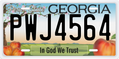 GA license plate PWJ4564