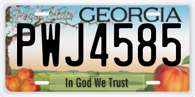GA license plate PWJ4585