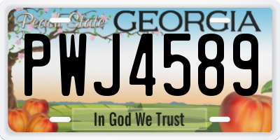 GA license plate PWJ4589