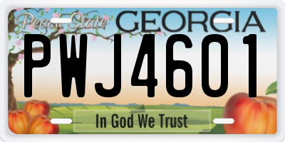 GA license plate PWJ4601