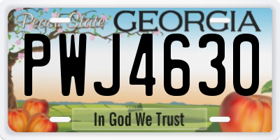 GA license plate PWJ4630