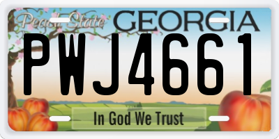 GA license plate PWJ4661
