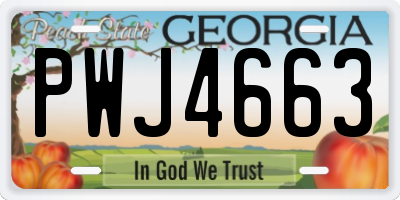 GA license plate PWJ4663