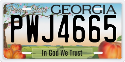 GA license plate PWJ4665
