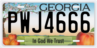 GA license plate PWJ4666
