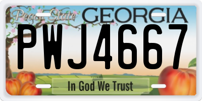 GA license plate PWJ4667