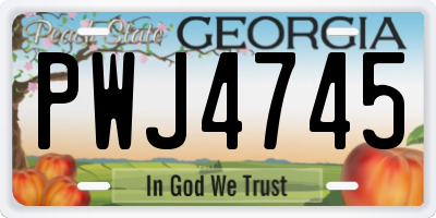 GA license plate PWJ4745