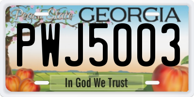GA license plate PWJ5003