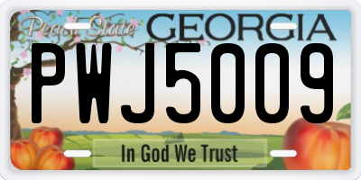 GA license plate PWJ5009