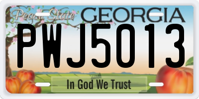 GA license plate PWJ5013