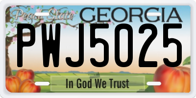 GA license plate PWJ5025