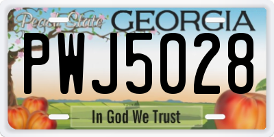 GA license plate PWJ5028